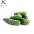 vegatable juice powder cucumber juice powder